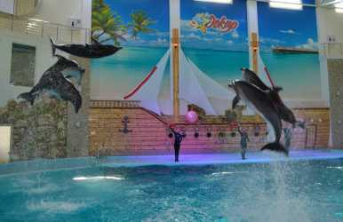 Truskawiec - 1 dniowa wycieczka  - Delfinarium - SPA - Chyrów - Sambor - Drohobycz
