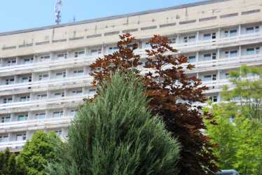 Wiosna - Vesna Sanatorium Truskawiec Turnusy Rehabilitacyjne