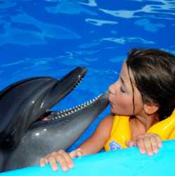 Delfinarium - wycieczka fakultatywna dla Kuracjuszy w uzdrowisku Truskawiec